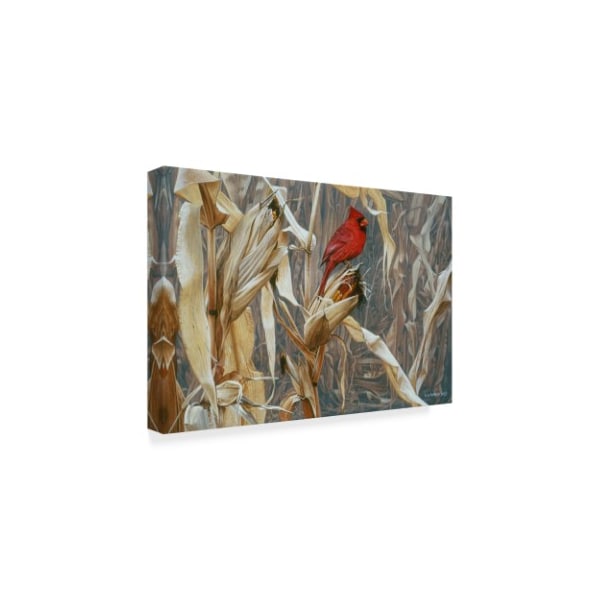 Ron Parker 'Autumn Cornfield Cardinal' Canvas Art,16x24